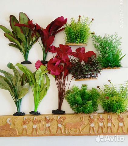 Компрессоры,растения,трубки,помпы