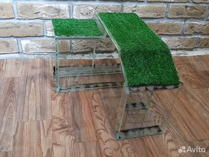 Берег для водной черепахи