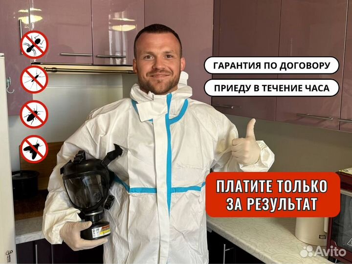 Уничтожение клопов, травить тараканов /Дезинфекция