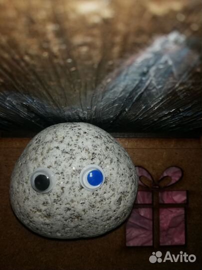 Камень питомец