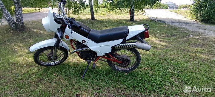 Зид пилот 50