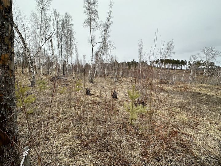 Участок 12 сот. (ИЖС)