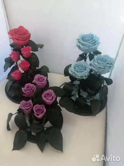 Роза в колбе в розницу и оптом