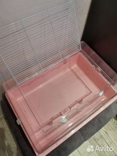 Всё необходимое для содержания сирийского хомяка