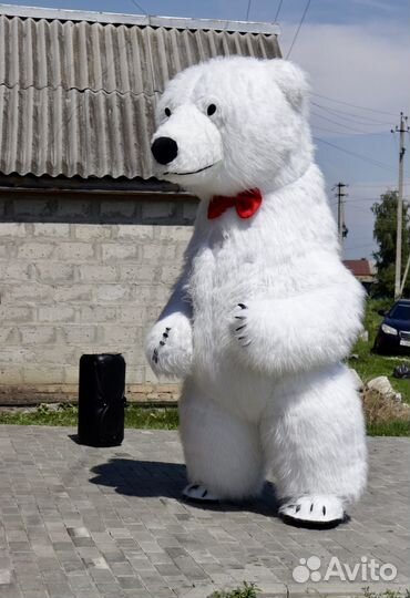 Белый мишка поздравление Пенза - Заречный.Область