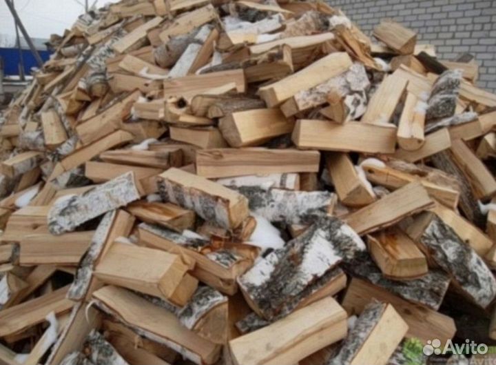 Дрова береза