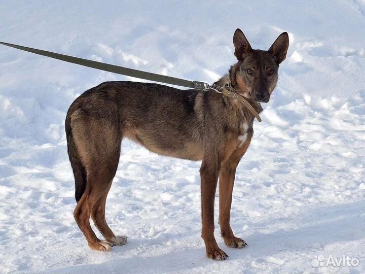 Фарфоровая статуэтка