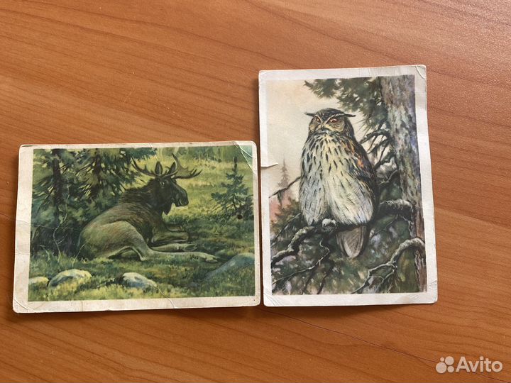 Открытки 1954 год