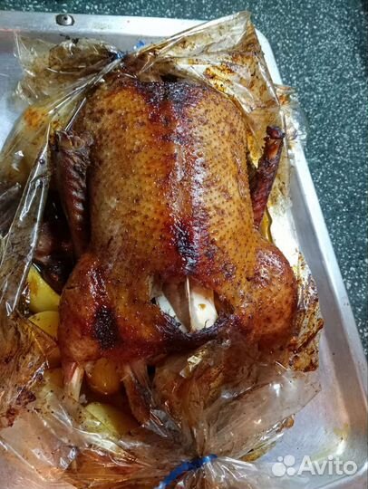 Мясо уток мулардов