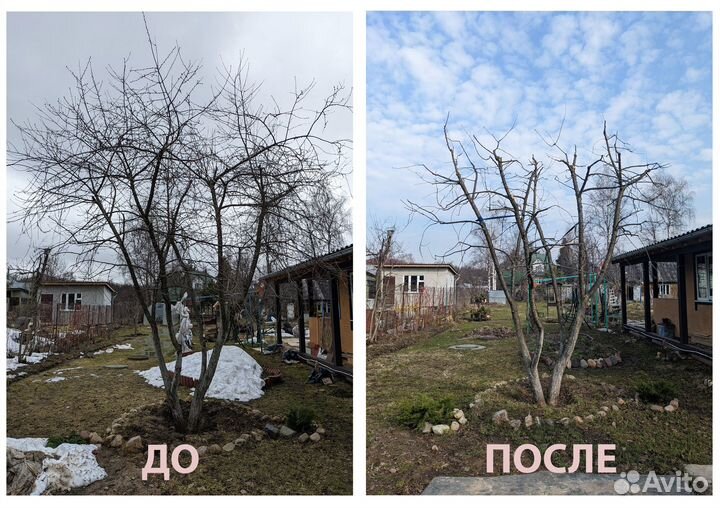 Обрезка деревьев