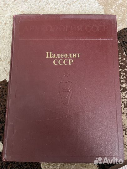 Археология ссср. Палеолит СССР