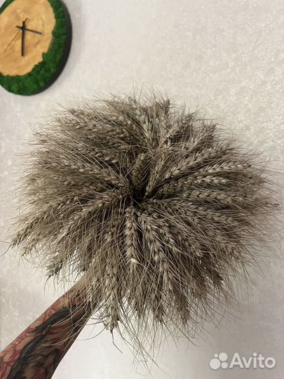 Букет из пшеницы, рожь