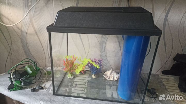 Аквариум