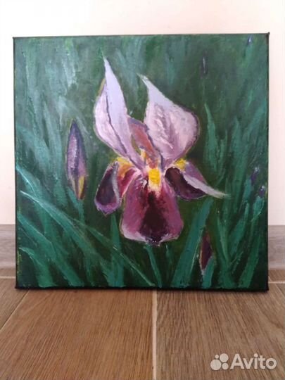 Картина маслом,холст,Ирис