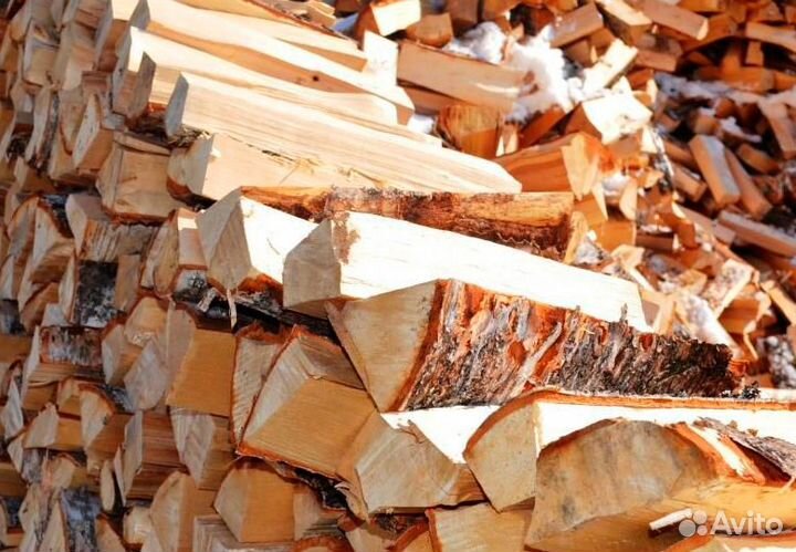Дрова береза