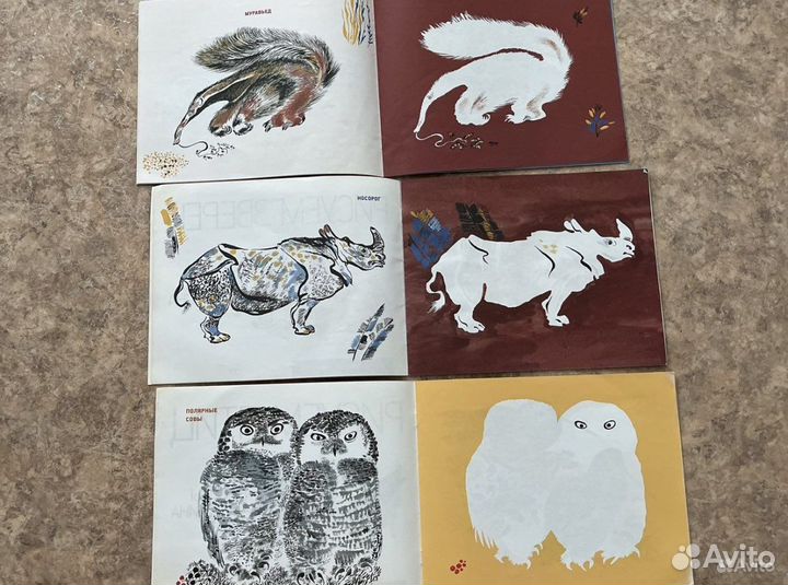 Альбом для раскрашивания Уроки Чарушина