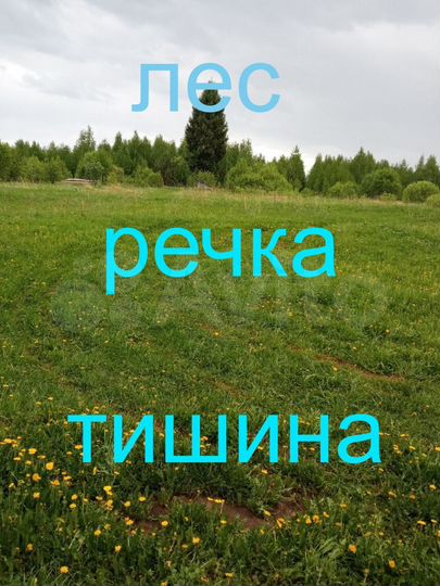 Участок 31 сот. (ИЖС)