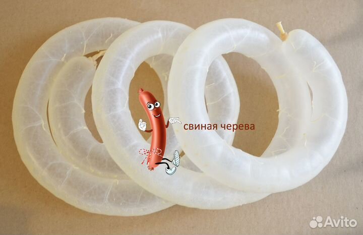 Черева, кишки