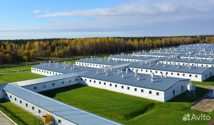 Подсобный рабочий