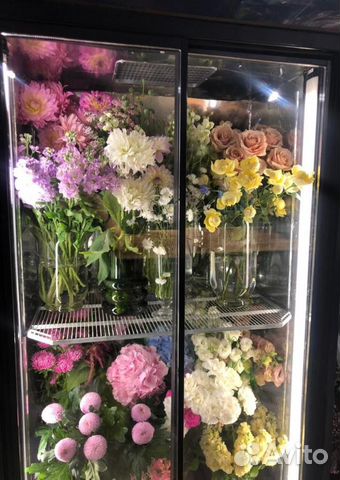 Холодильник, холодильная камера цветочная купить в Санкт-Петербурге ...