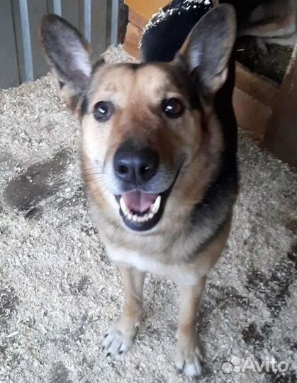 Рамос красавчик с характером