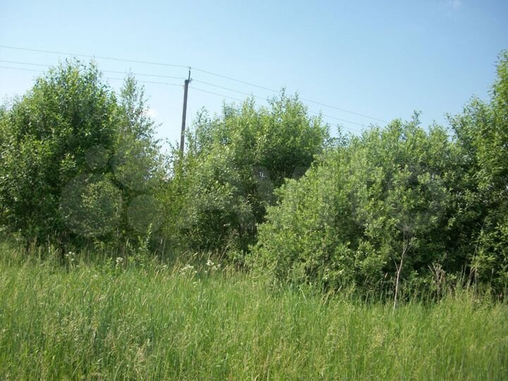 Участок 22 сот. (СНТ, ДНП)