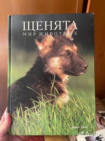 Книги о животных