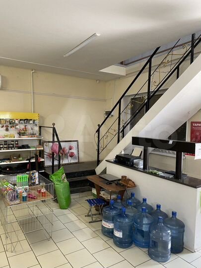 Торговая площадь, 243 м²