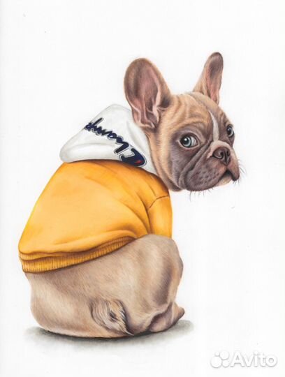 Портрет питомца