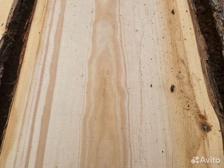 Доска необрезная кедр Леший оптом