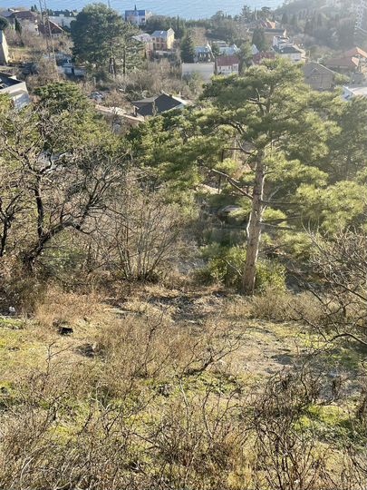 Участок 12 сот. (ИЖС)