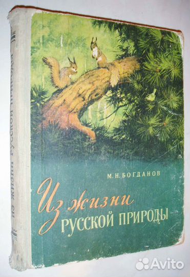 Букинистика. 
