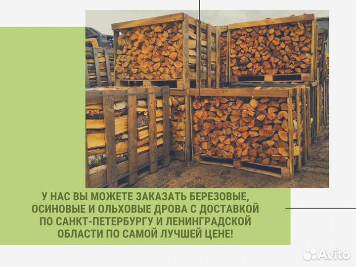 Дрова березовые