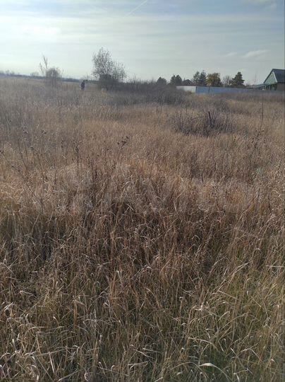 Участок 8 сот. (СНТ, ДНП)