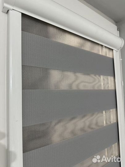 День и ночь Зебра