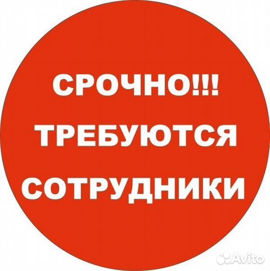 Работа с ежедневной оплатой для студентов
