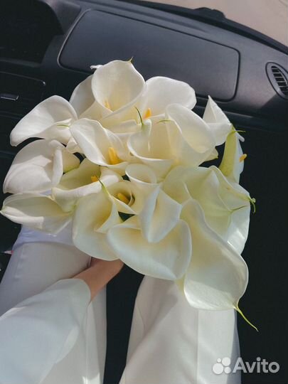 Каллы, букет из калл, доставка цветов