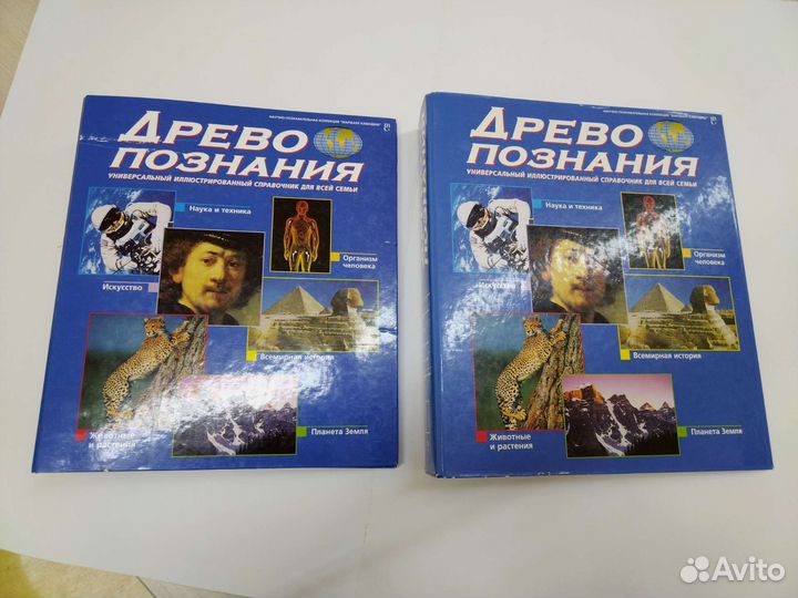 Папка на кольцах А4 скоросшиватель Древо познания