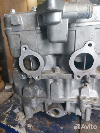 Двигатель polaris 500