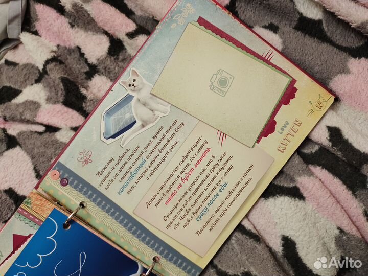 Фотоальбом для котёнка котёнок творчество