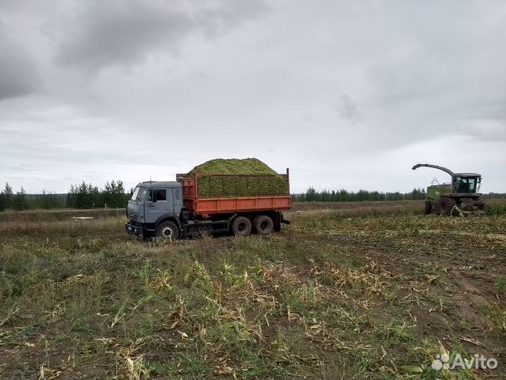 Аренда камаз