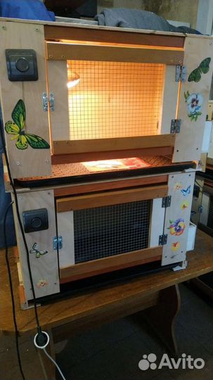 Супер брудер для цыплят