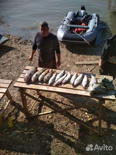 Рыбалка в Астрахани