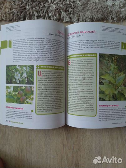 Ваш целебный сад. Т. Ильина