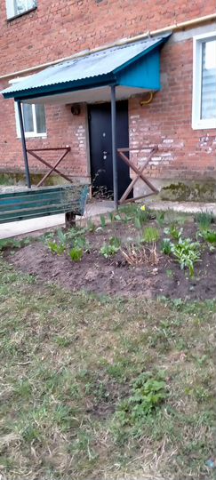 2-к. квартира, 41,6 м², 1/2 эт.