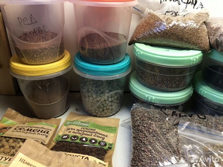 Семена для микрозелени, лотки, продаю все вместе