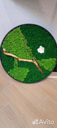 Панно из стабилизированного мха