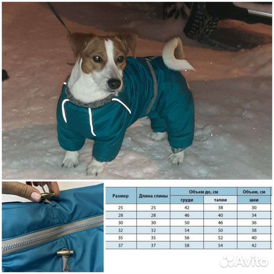 Одежда для маленьких собак зима