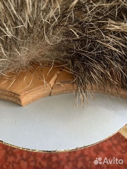 Чучело кабана