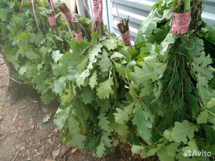 Банный веник